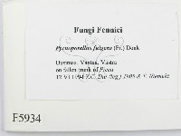 登錄號:F0005934藏品圖，第2張