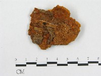 登錄號:F0005934藏品圖，第1張