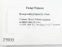 登錄號:F0005935藏品圖，第2張
