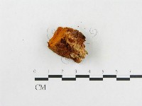 登錄號:F0005935藏品圖，第3張