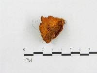 登錄號:F0005935藏品圖，第4張