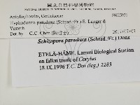 登錄號:F0005936藏品圖，第2張