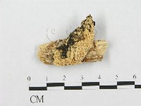 登錄號:F0005936藏品圖，第1張
