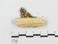 登錄號:F0005936藏品圖，第3張