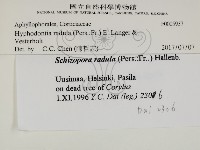 登錄號:F0005937藏品圖，第2張