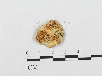 登錄號:F0005937藏品圖，第1張