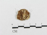登錄號:F0005937藏品圖，第3張