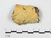 登錄號:F0005938藏品圖，第1張