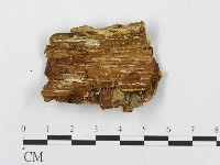 登錄號:F0005938藏品圖，第3張