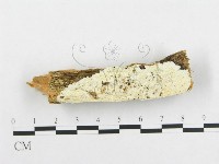 登錄號:F0005939藏品圖，第1張