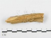 登錄號:F0005939藏品圖，第4張
