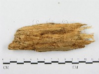 登錄號:F0005940藏品圖，第3張