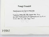 登錄號:F0005941藏品圖，第2張