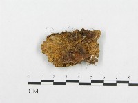 登錄號:F0005941藏品圖，第3張