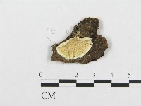 登錄號:F0005942藏品圖，第1張