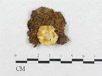 登錄號:F0005943藏品圖，第1張