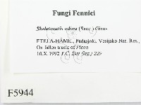 登錄號:F0005944藏品圖，第2張