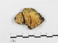 登錄號:F0005944藏品圖，第1張