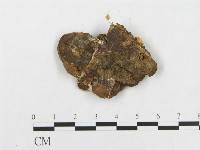 登錄號:F0005944藏品圖，第3張