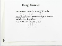 登錄號:F0005945藏品圖，第2張