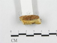 登錄號:F0005945藏品圖，第3張