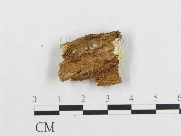 登錄號:F0005945藏品圖，第4張