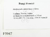 登錄號:F0005947藏品圖，第2張