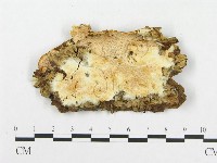 登錄號:F0005947藏品圖，第1張