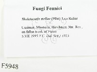 登錄號:F0005948藏品圖，第2張