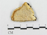 登錄號:F0005948藏品圖，第1張