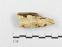 登錄號:F0005949藏品圖，第1張