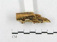 登錄號:F0005949藏品圖，第3張