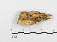 登錄號:F0005949藏品圖，第4張