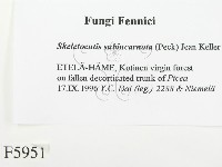 登錄號:F0005951藏品圖，第2張