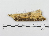 登錄號:F0005951藏品圖，第1張