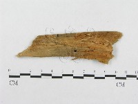 登錄號:F0005951藏品圖，第3張