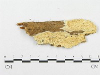 登錄號:F0005952藏品圖，第1張