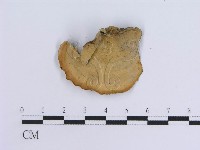 登錄號:F0005953藏品圖，第1張