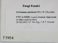 登錄號:F0005954藏品圖，第2張