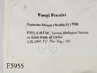 登錄號:F0005955藏品圖，第2張