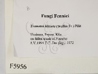 登錄號:F0005956藏品圖，第2張