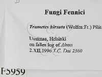 登錄號:F0005959藏品圖，第2張