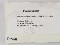 登錄號:F0005960藏品圖，第2張