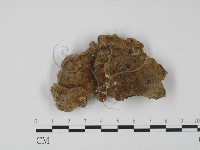 登錄號:F0005960藏品圖，第3張