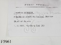 登錄號:F0005961藏品圖，第2張