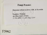 登錄號:F0005962藏品圖，第2張