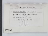 登錄號:F0005963藏品圖，第2張