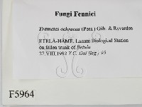 登錄號:F0005964藏品圖，第2張