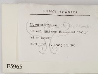 登錄號:F0005965藏品圖，第2張
