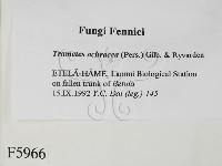 登錄號:F0005966藏品圖，第2張